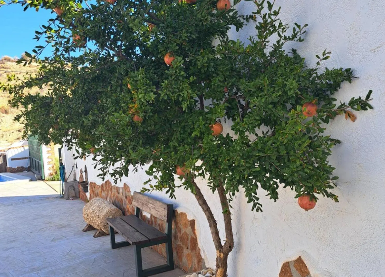 Casa Cueva Los Honorios Cortes de Baza